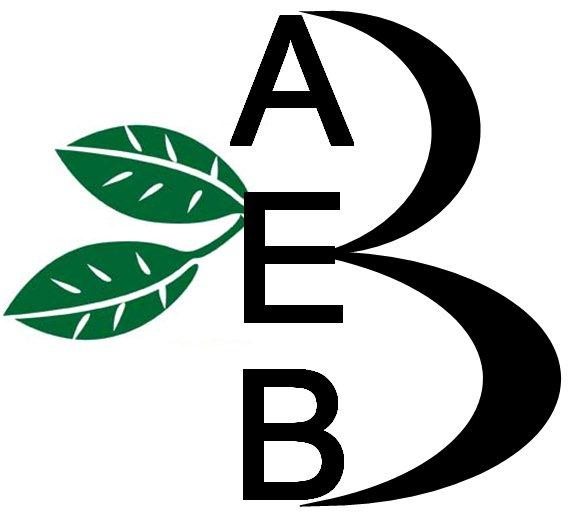 AEB3